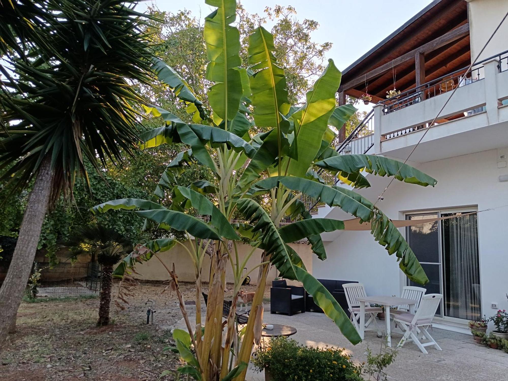 루파노 La Casa Del Noce 빌라 외부 사진