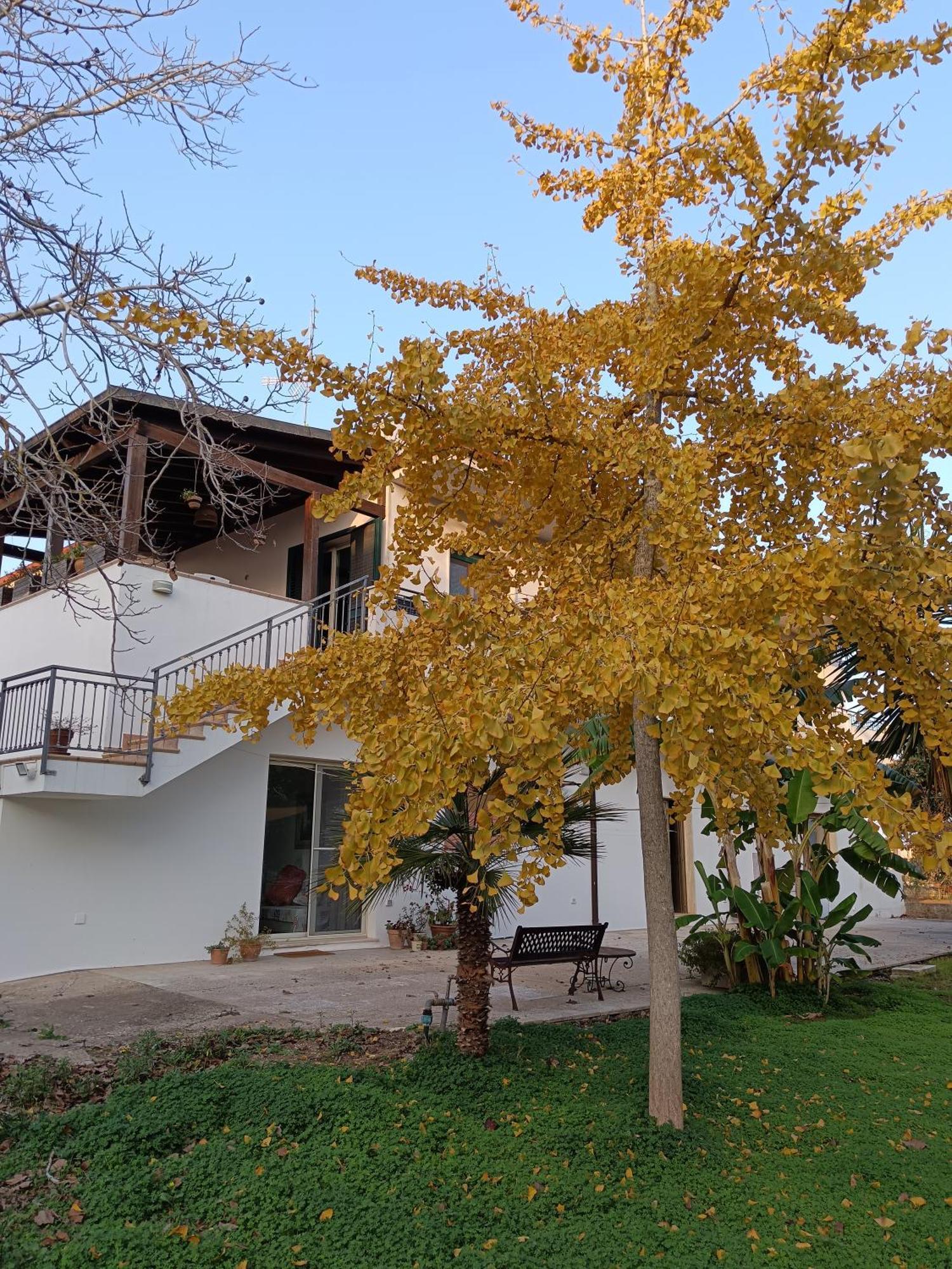 루파노 La Casa Del Noce 빌라 외부 사진